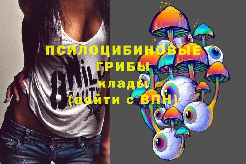 Галлюциногенные грибы Psilocybe  OMG tor  Карачаевск 